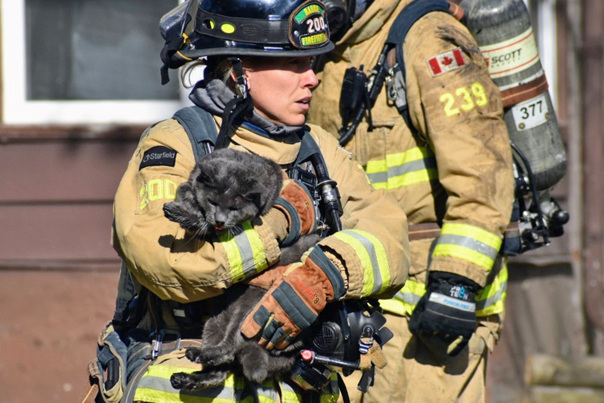 Cherished pets rescued during recent house fires in Barrie
