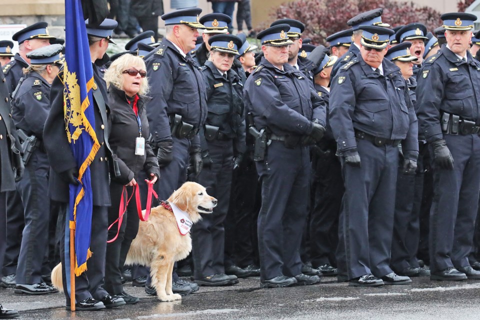 Officers in the parade check out a St. John Ambulance therapy dog attending the funeral services for South Simcoe police officers Morgan Russell and Devon Northrup on Oct. 20 in Barrie. 