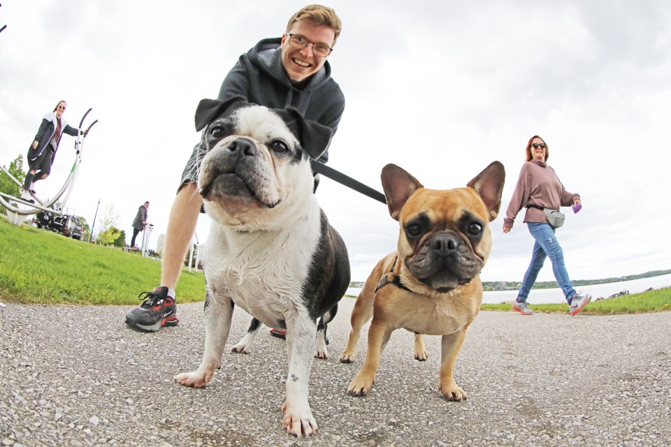 Shane Morgan, of Pickering, says he loves Barrie's waterfront as he, Maple, and Boo meet new people out on their stroll.