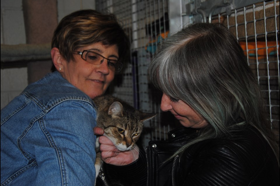 Furry Friends' adoptions coordinator holds Sammy - as Tammy Halverson gets a few pats in before finalizing the paperwork and taking him to his first home. Laurie Watt for BarrieToday
