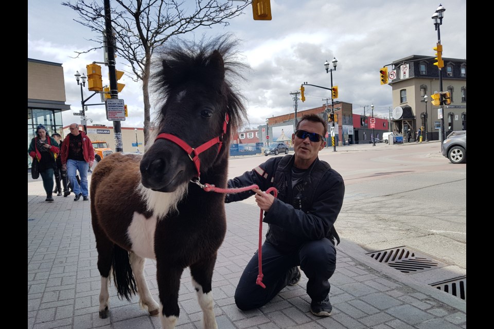 Chris Murray and Oreo enjoy the beautiful weather in downtown Barrie on Tuesday, April 30, 2019. Shawn Gibson/BarrieToday