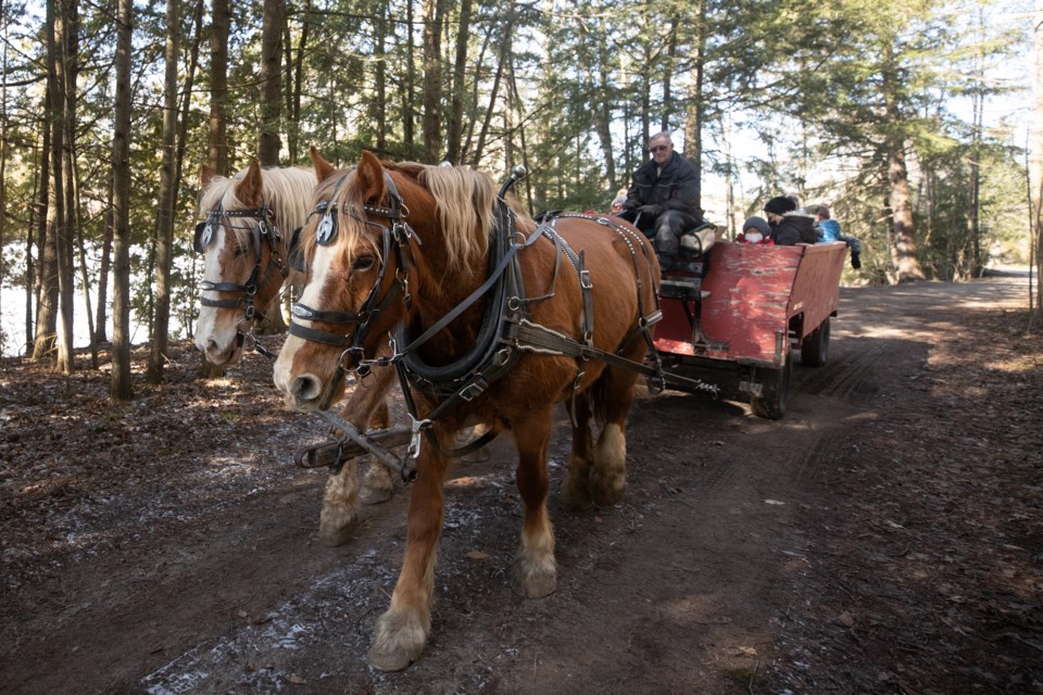 The annual Spring Tonic Maple Syrup Festival will offer a wide range of family-friendly activities on April 1 and 2 at the Tiffin Conservation Area.