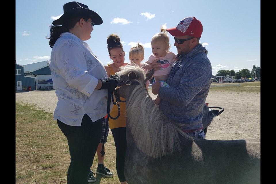 The Vockes family get to meet Rosie the miniature horse, a favourite of all the kids that day, said horse owner Cass Henderson (left), Saturday August 24, 2019. Shawn Gibson/BarrieToday