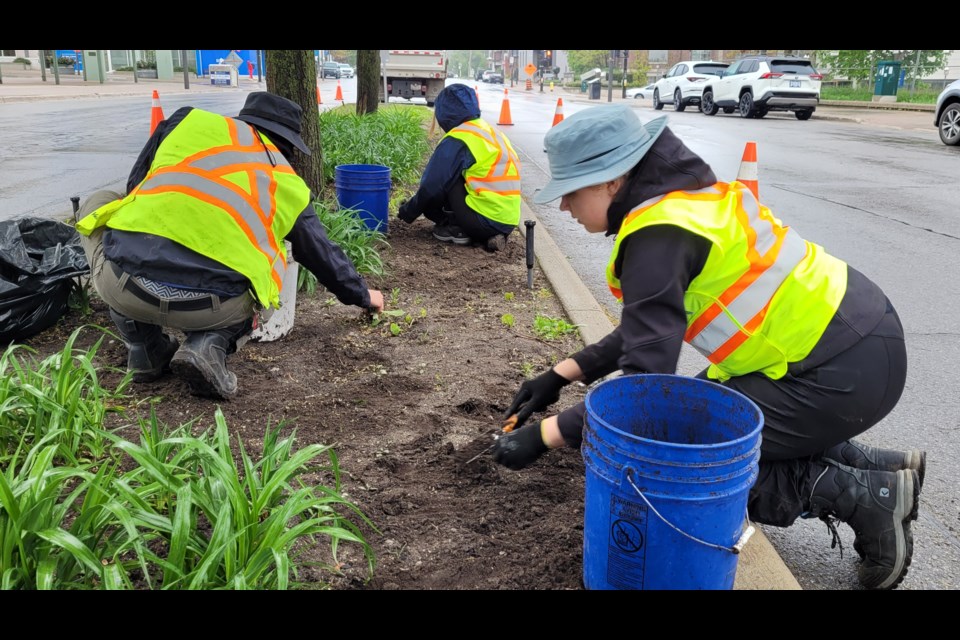 City workers get Barrie ready to bloom for the spring and summer season, Thursday, May 19, 2022.