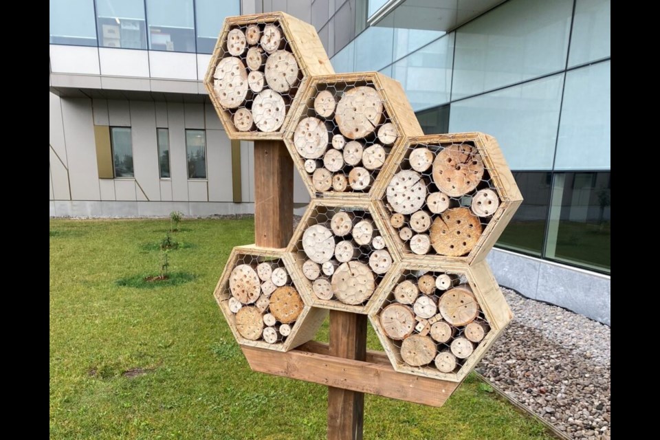 The 'bee hotel' at Georgian College.
