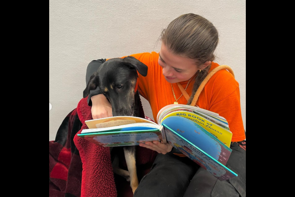 Storytime with dog at Dogtopia of Barrie.
