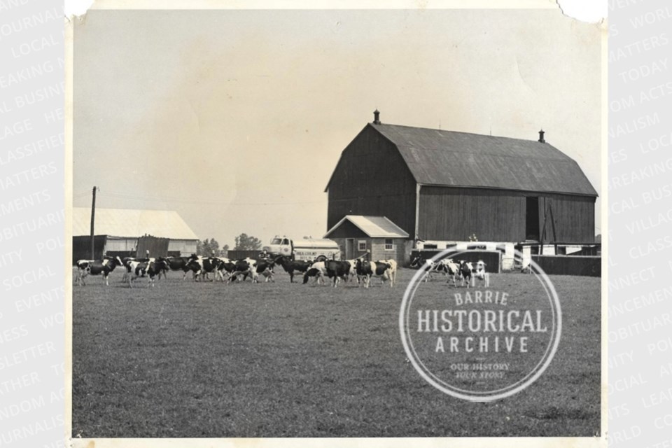 A dairy farm in east end Barrie. 1965.