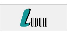 Luduh Designated Driver