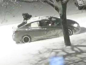 These pictures show the four-door black Honda Civic with snow tires and the driver who dragged a good Samaritan that tried to intervene and prevent the theft of a dog on Tuesday, Nov. 23, 2021.