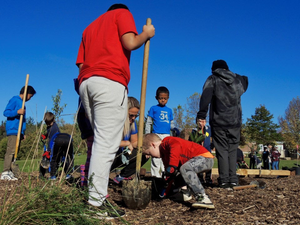 2017-10-18 Hillcrest Public School tree planting