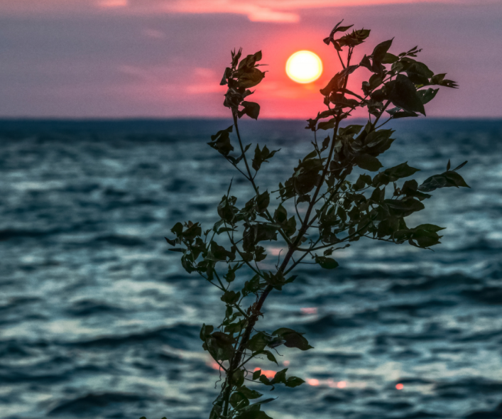 Two Lake Simcoe area environmental groups released a report called Lake Simcoe Under Pressure in 2021: Key Stressors and Solutions, outlining their concerns a few key projects could have on Lake Simcoe.