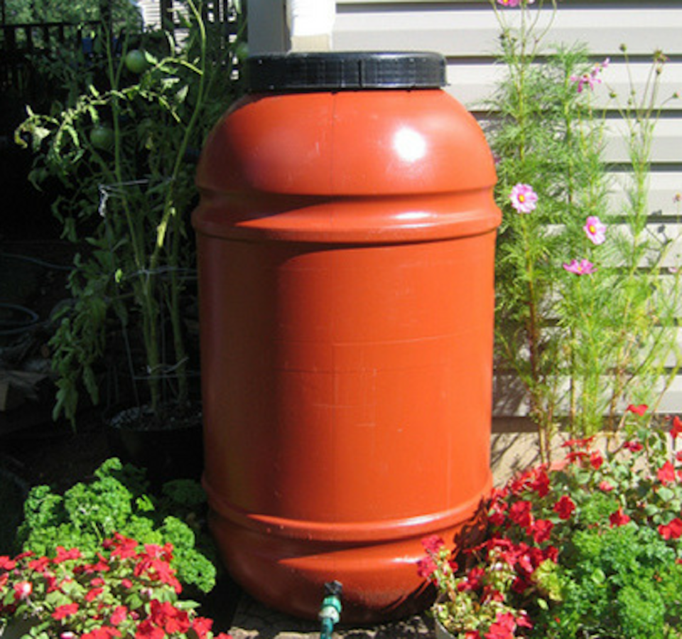 Rain Barrel Photo