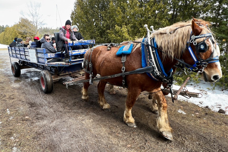 Wagon rides at the Family Day Winter Adventure at the Barrie Community Sports Complex in Midhurst on Monday.