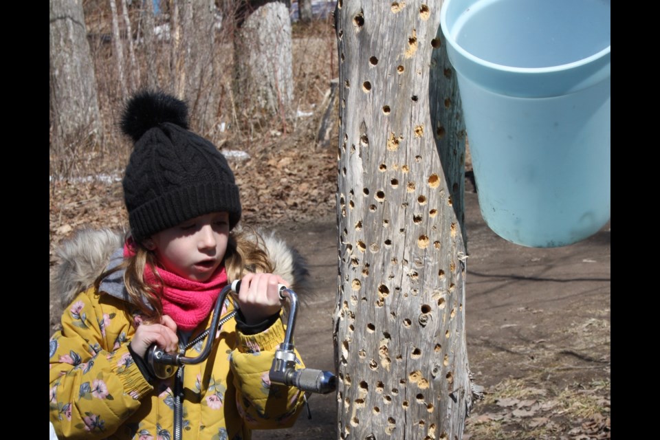 The Spring Tonic Maple Syrup Festival will take place April 6 and 7 at the Tiffin Centre for Conservation, featuring a variety of family-friendly activities.