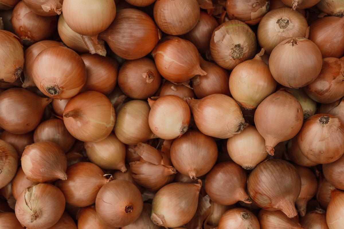 Keep your eyes peeled for the inaugural Innisfil Onion Fest Barrie News
