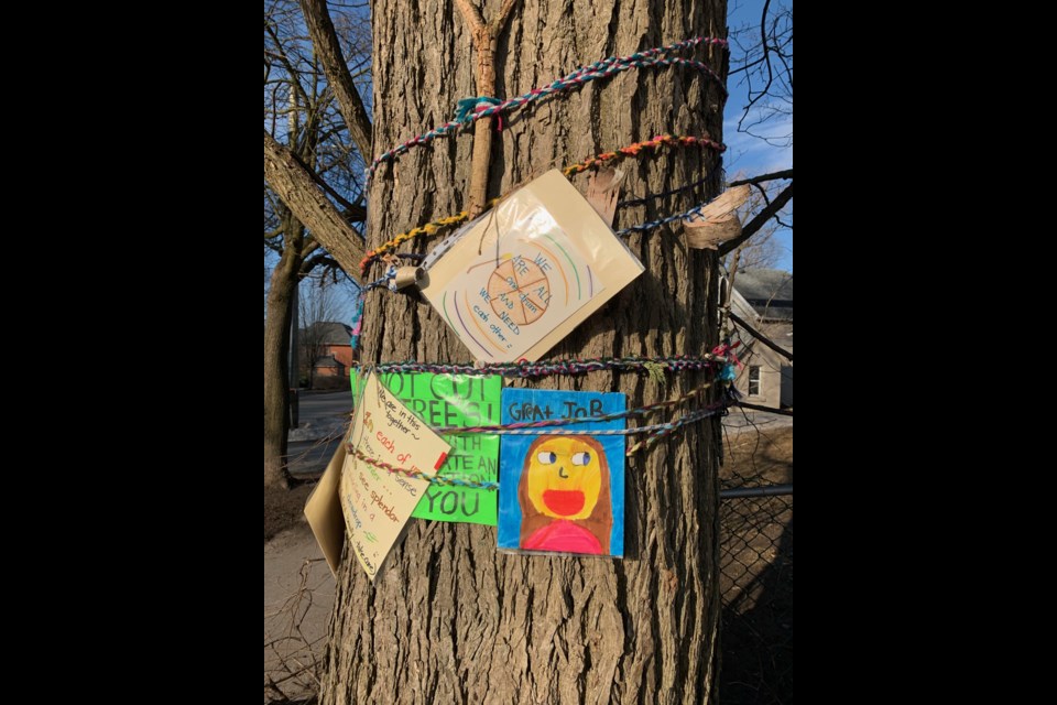 Cards and well-wishes adorn the American Elm on Eugenia St. Photo supplied