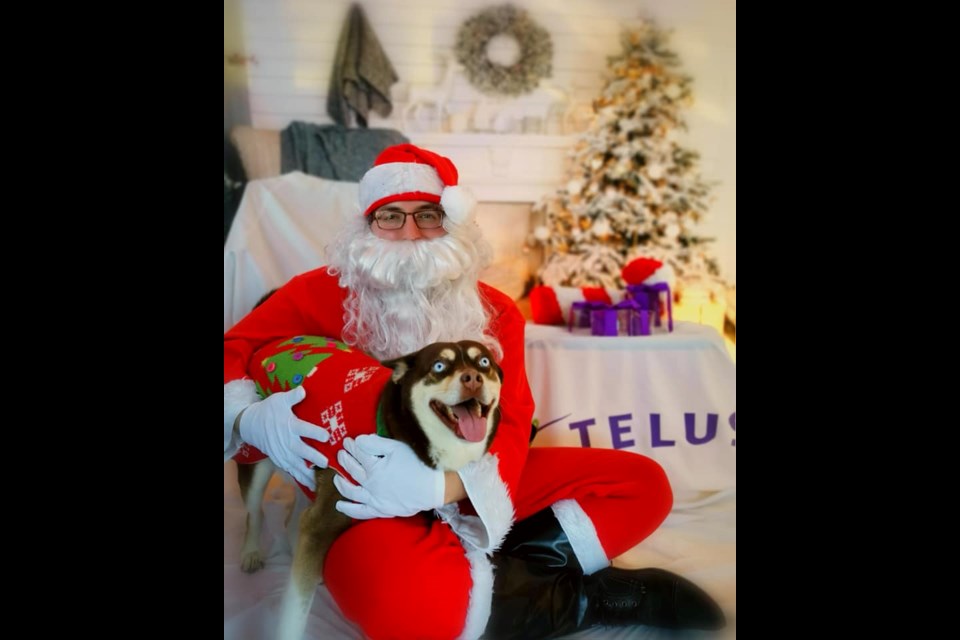 Minnow got her picture with Santa last year at the inaugural Pet Photos With Santa at Telus Park Place. Photo supplied