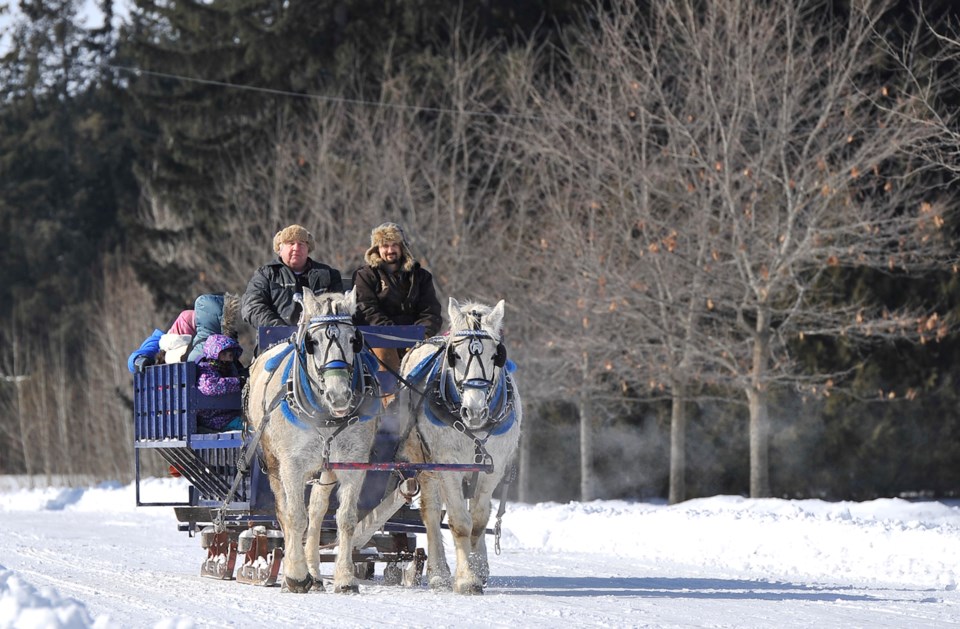 2023-02-16-barrie-horse-wagon-ride