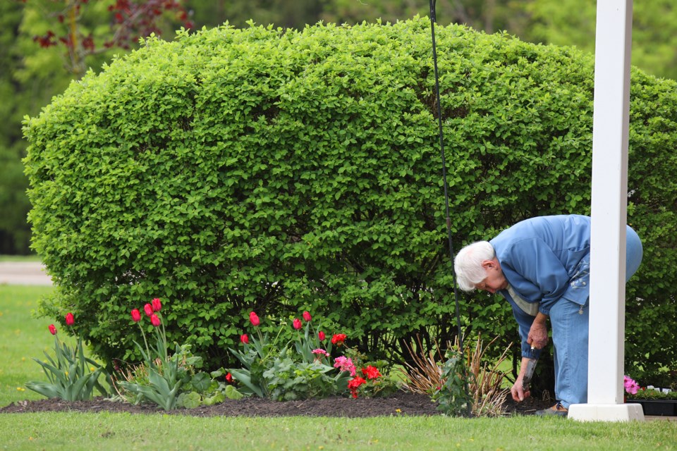 A resident at Tollendale Village retirement community in Barrie works away in her garden on Saturday, May 19, 2018. Kevin Lamb for BarrieToday