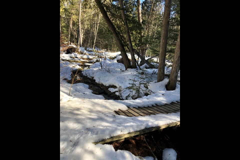 Trails have become a little slick with the warmer weather, but are still navigable. Yet hikers were a rare sight on many local trails this weekend and none were spotted at Springwater Park on Sunday.
