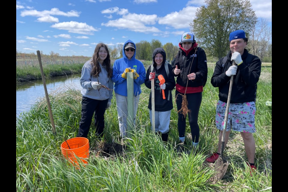 Staff and students recently planted hundreds of trees and shrubs near Willow Creek.