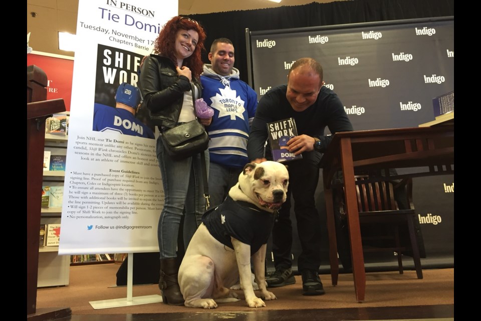 Domi meet Domi.  Former NHL star Tie Domi meets an American bulldog named after him during a book signing at Chapters in Barrie. Sue Sgambati/BarrieToday