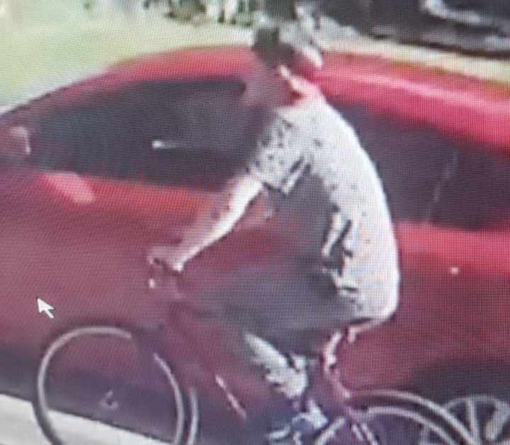 2019-09-15 Cwood purse snatch suspect