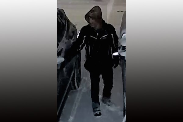 2019-03-19 car theft suspect BPS