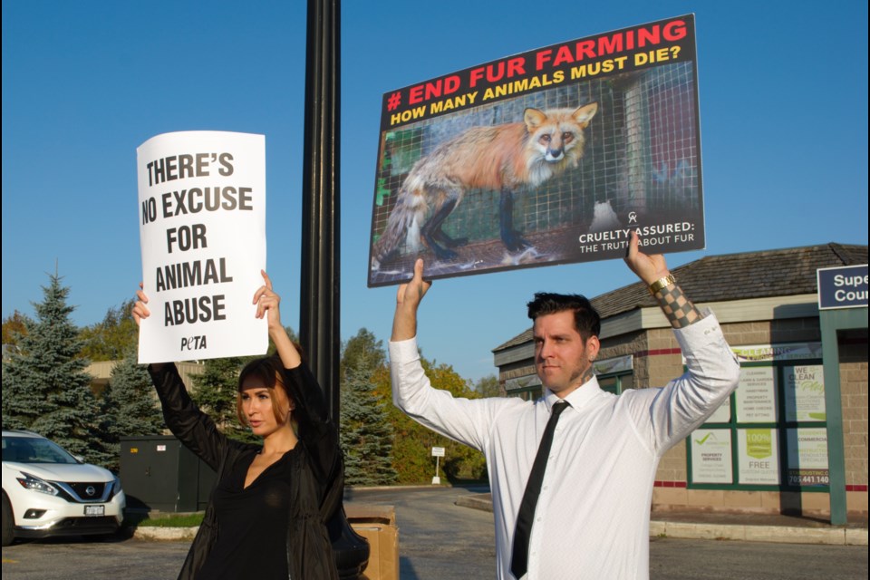 From left, Vikki Lenola and Malcolm Klimowicz hold protest signs at the Collingwood courthouse. Jessica Owen/CollingwoodToday