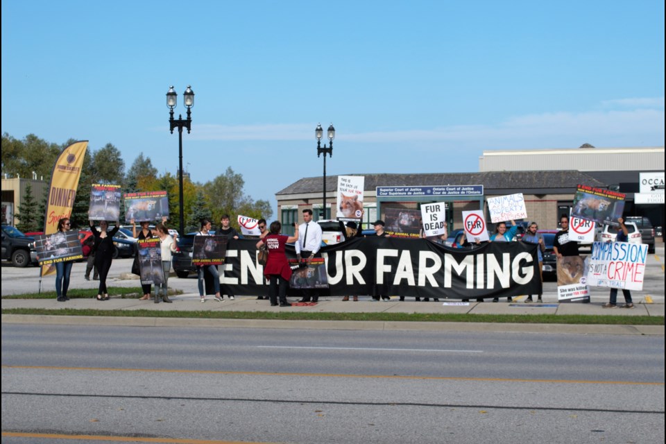 About 25 protesters attended an anti-fur farming protest at the Collingwood court house on Tuesday. Jessica Owen/CollingwoodToday