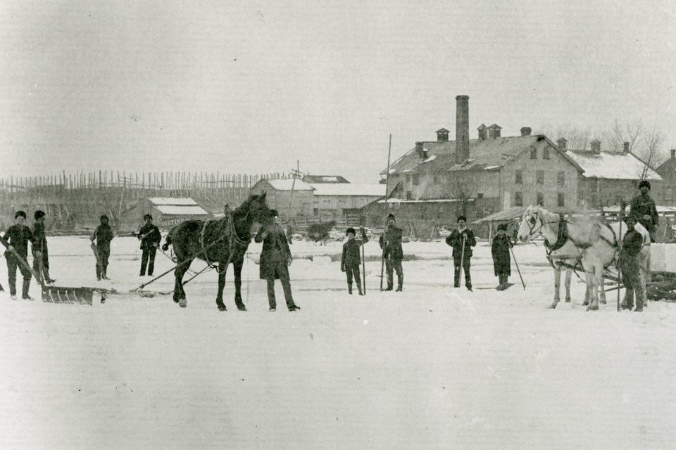 Kempenfelt Bay near Barrie was a busy place during the annual ice harvest. Courtesy of Simcoe County Archives/Livingstone Collection