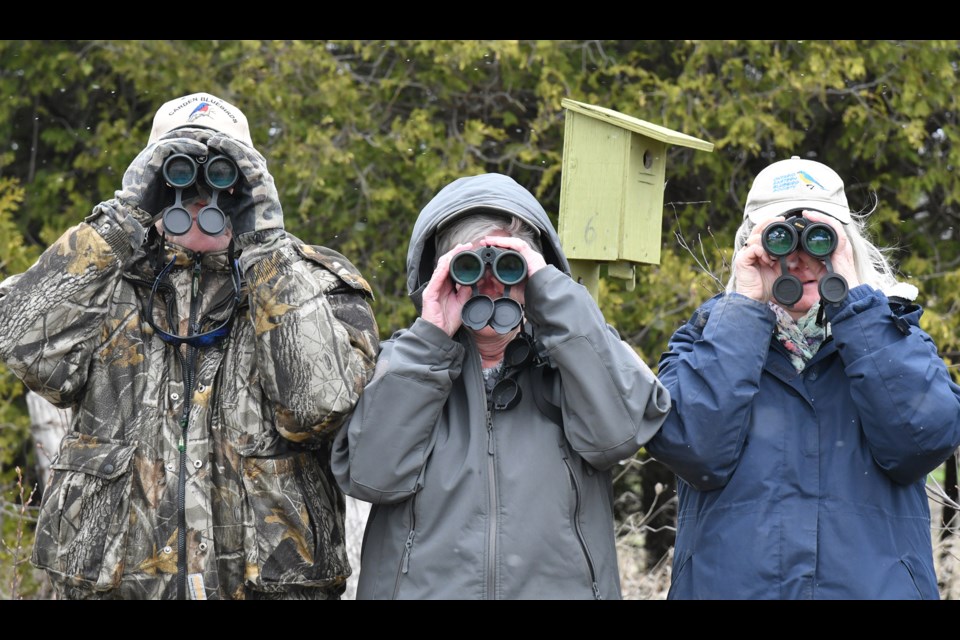 Nature Barrie members, from left, Lane Henderson, Clare Holden and Dorothy McKeown are hoping Barrie residents celebrate World Migratory Bird Day on May 14. 