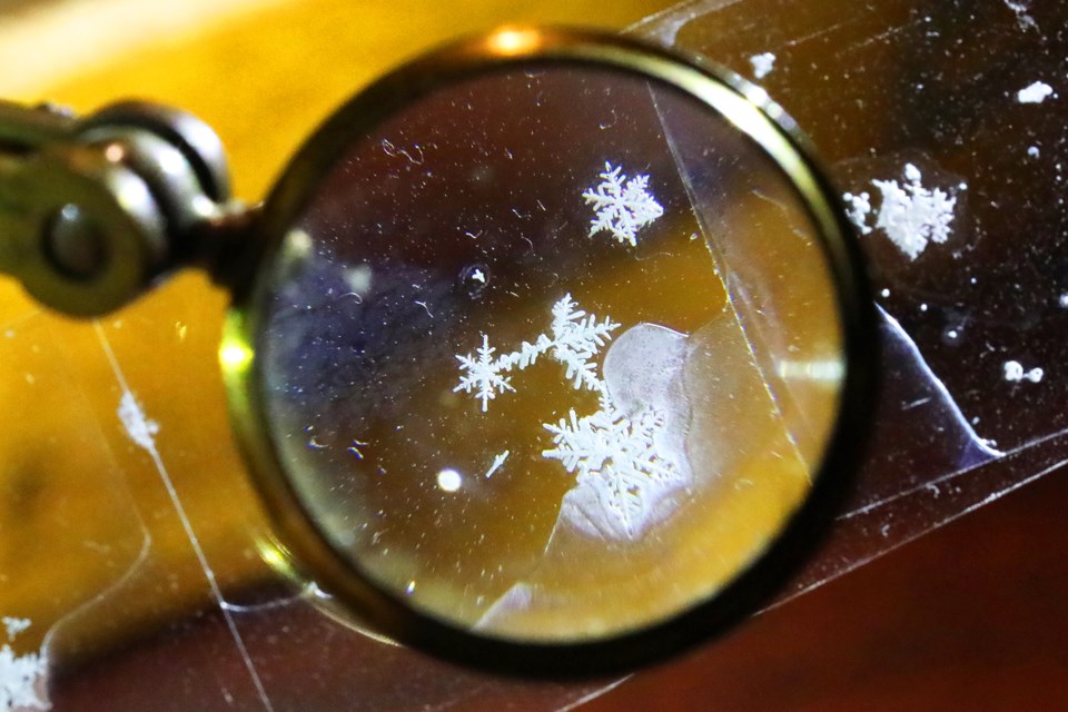 Preserved snowflakes on a microscope slide as viewed through a 19th century magnifying lens.  Kevin Lamb for BarrieToday.