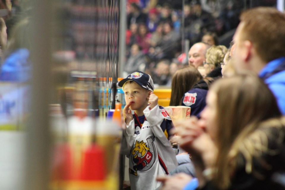 A young Barrie Colts fan gets up close along the glass during OHL action against the Soo Greyhounds on Saturday, Jan. 19, 2019 at the Barrie Molson Centre. Raymond Bowe/Village Media