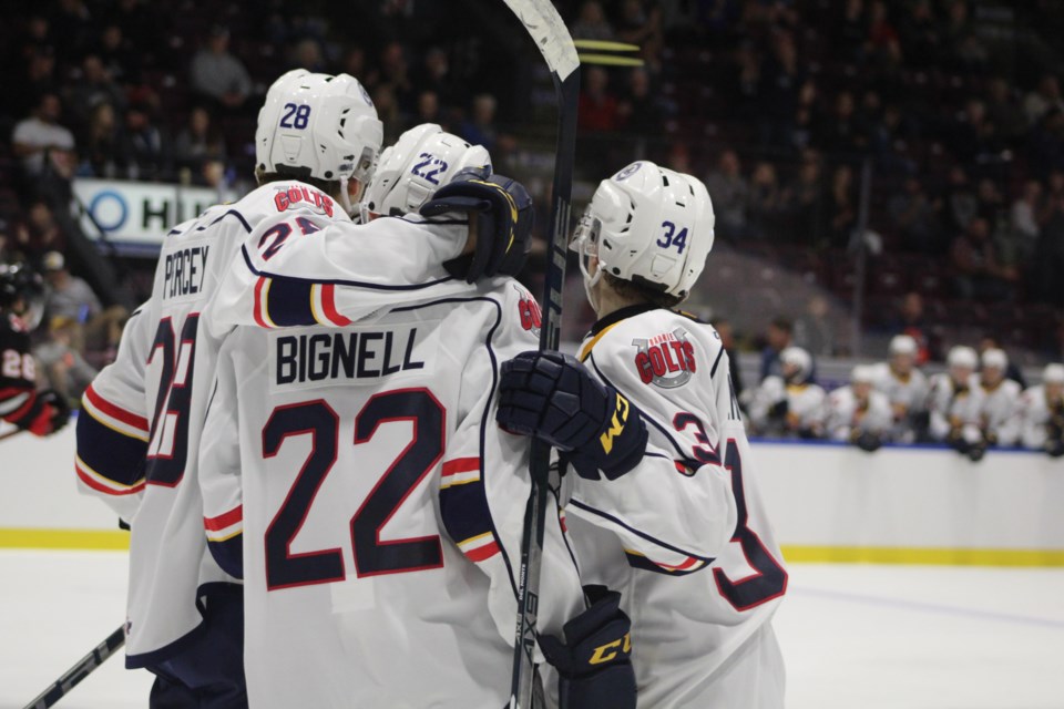 Members of the Barrie Colts celebrate Luke Bignell's second-period goal during OHL pre-season action against the Niagara IceDogs on Thursday Sept. 12, 2019 at the Barrie Molson Centre. Raymond Bowe/BarrieToday