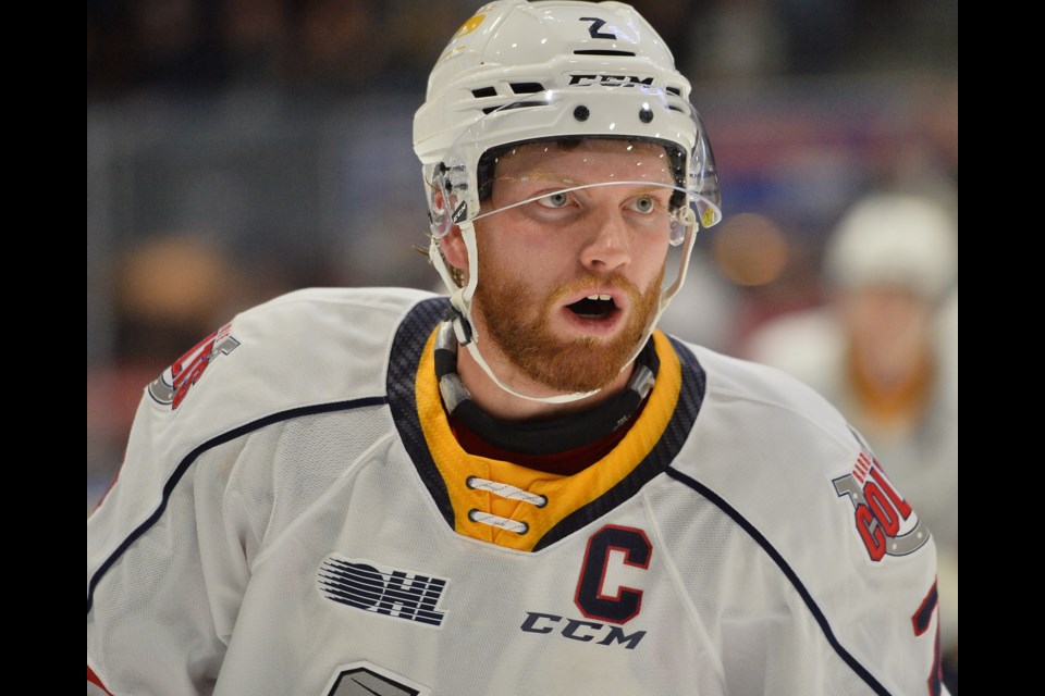 Former Predator Connor Punnett is the Barrie Colts' captain this year.