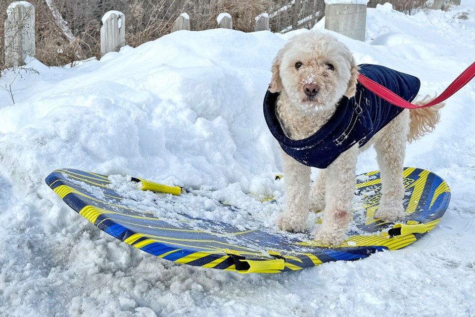 It's that time of the year Residents need to get ready for cold, ice