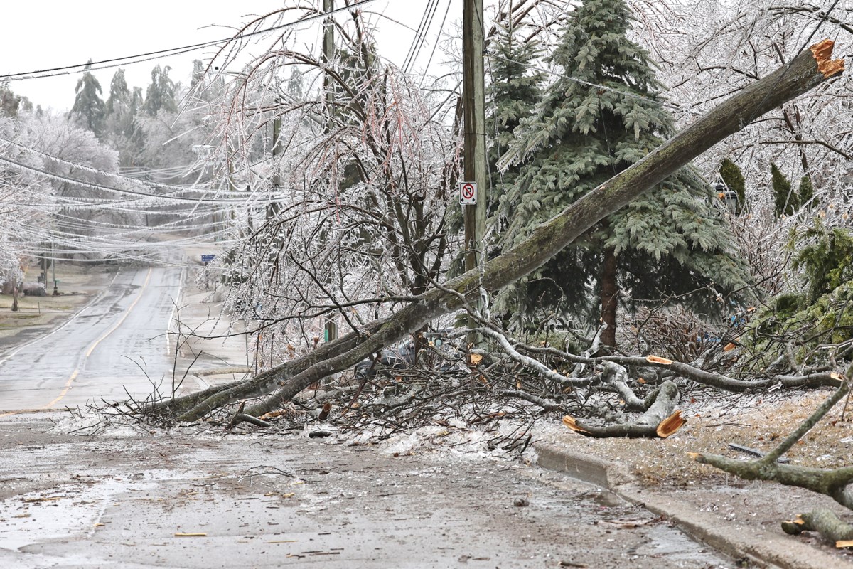 More than 20,000 tonnes of debris collected; annual average amount is 4,400 tonnes