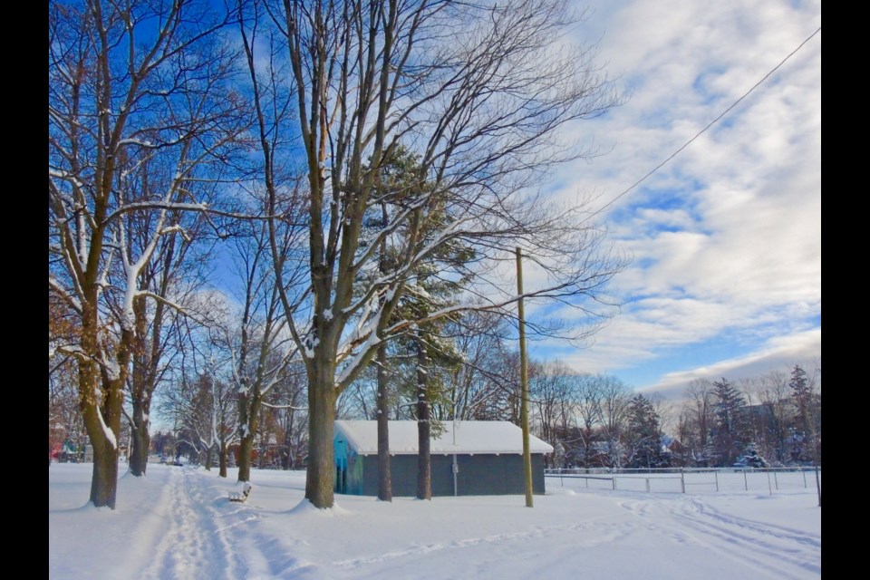 We were treated to those glorious winter skies of blue after the snowfall Saturday.
Sue Sgambati/BarrieToday       