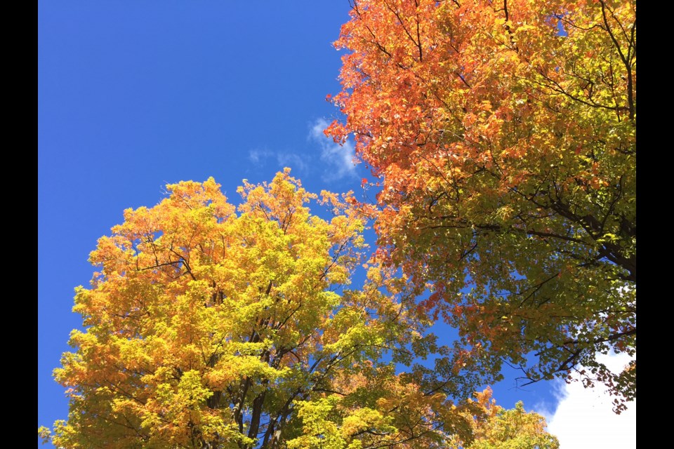 The fall colours are only part of the attraction in September, says columnist Rusty Draper.