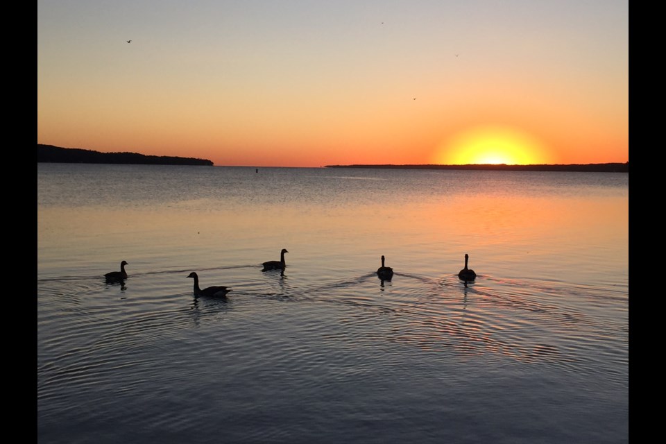 The last full day of summer arrived with a beautiful sunrise at Barrie's waterfront.
Sue Sgambati/BarrieToday