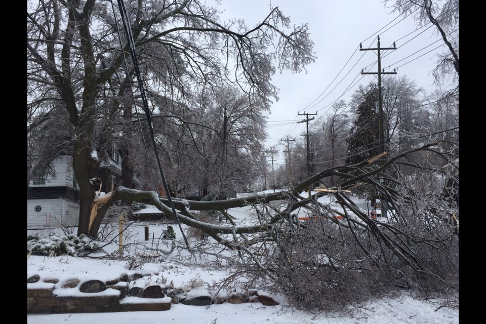 Poyntz Street closed due to downed wires and branches.  Sue Sgambati/BarrieToday