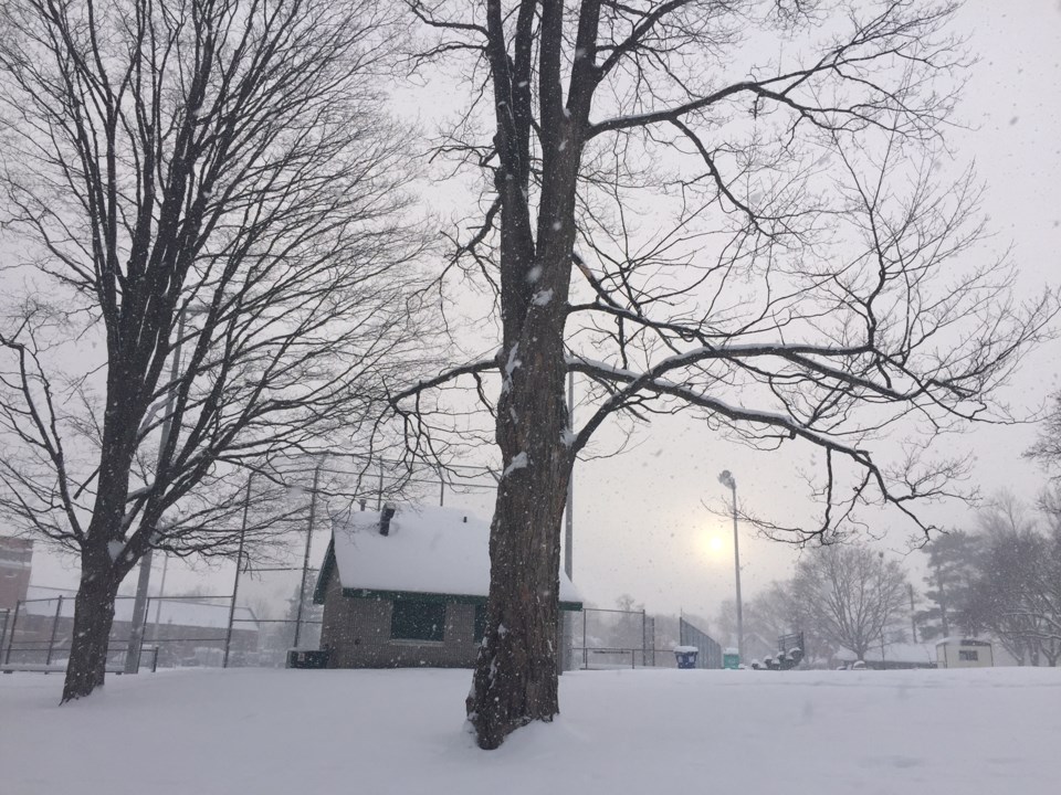 jan 4