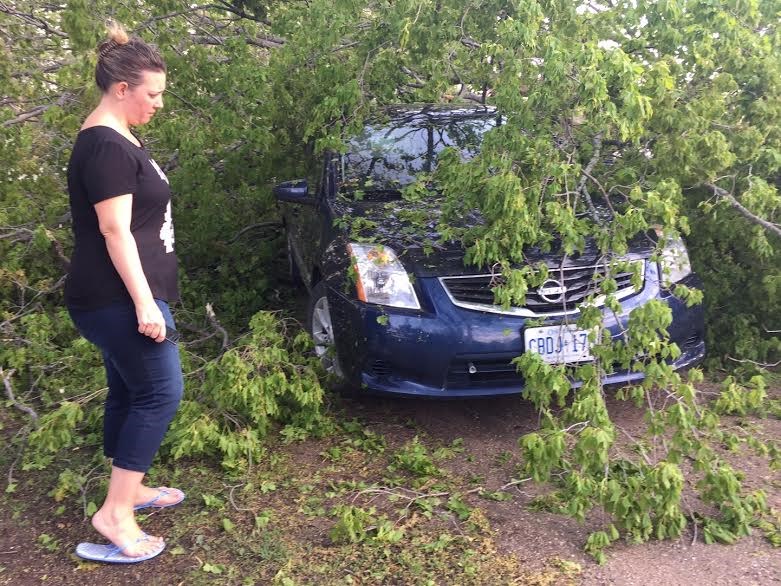 Storm causes damage in Barrie - BarrieToday.com