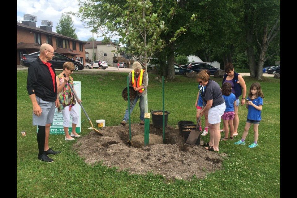 The municipality of Callander commemorates Canada's 150th with a tree ...