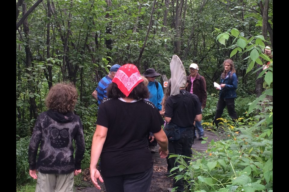 Nature Festival hike through Laurier Woods in the heart of North Bay