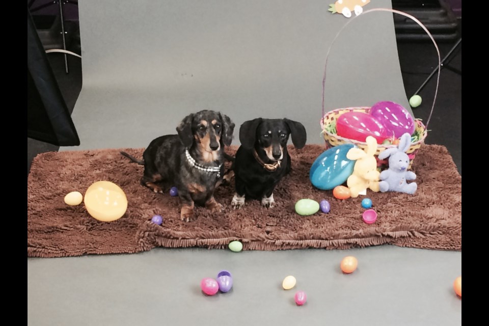 Mya and Oscar pose at fundraising shoot for Dog Guides.