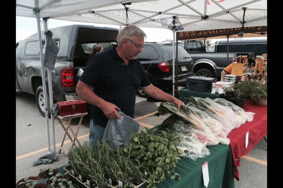 Wayne Chalmers of Spring Hill Farms has a busy first day at outdoor North Bay Farmer's Market 