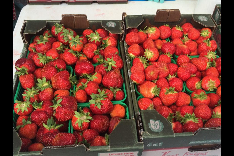 The strawberry season is a week late, but the berries are already better than last season