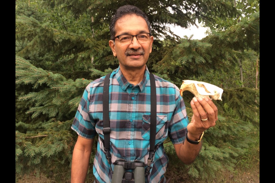 Fred Pinto, President of Friends of Laurier Woods holds a beaver skull prior to leading a guided hike focusing on beavers 